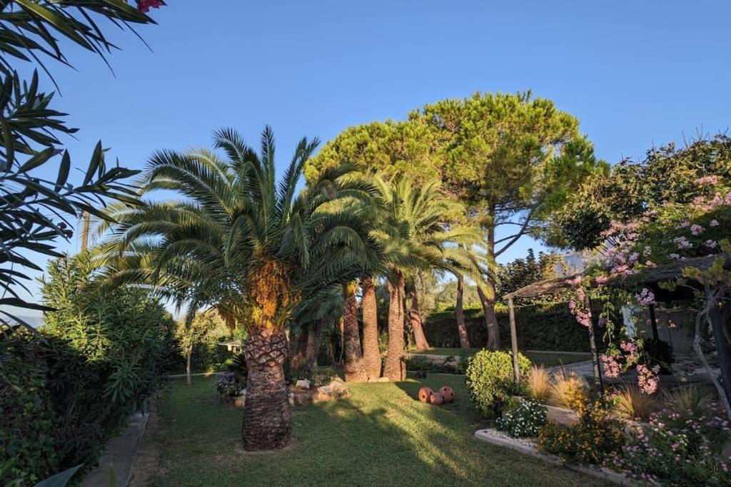 Jávea Casita De La Higueraヴィラ エクステリア 写真
